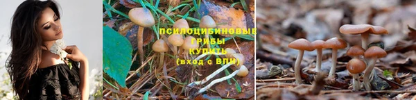 гашишное масло Алзамай
