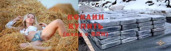 дживик Алексеевка