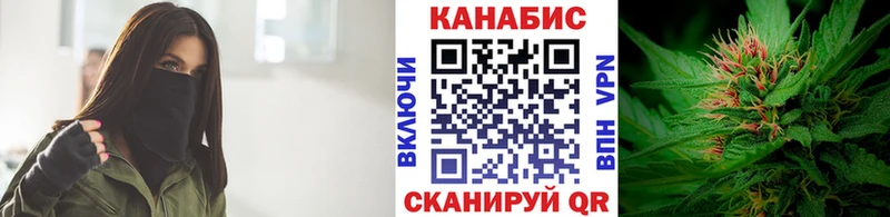 Марихуана план  Шимановск 
